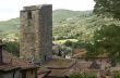Vicopisano - Tiled roofs and ancient tower