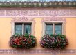 Flowered windows odfObernai townhall - Alsace