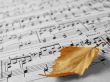 autumnal melody