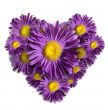 Violet flower heart