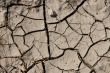 Soil