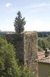 Vicopisano - Medieval tower with tree