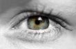 female eye