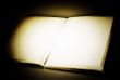 Photo Album with copy space
