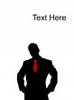 standing businessman looking at camera