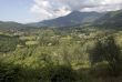 Landscape near Camaiore (Tuscany)