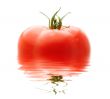 Fresh Red Tomato
