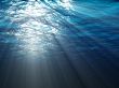 An underwater scene