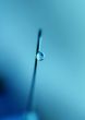 syringe close-up, focus on the drop
