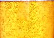 Glass of beer close-up
