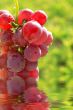 Red grapes