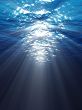 underwater scene