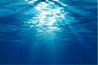 An underwater scene