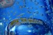 Blue water with bubbles