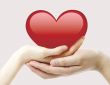 Hands and a heart 1