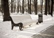 Single bench in winter city park