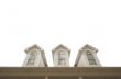 House Roof and Windows