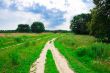 summer road