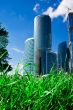Green grass and skyscrapers