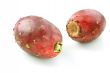 Two Cactus Pears