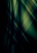 smooth dark place