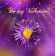St. Valentine`s Day