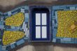 Window and facade, artistically arranged