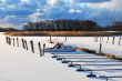 Frozen Boat