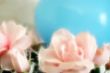 decorative rose