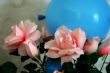 decorative rose