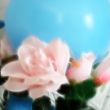 decorative rose