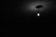 light bulb in the dark