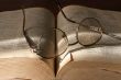 book and spectacles