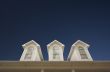 House Roof and Windows