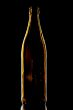 Empty beer bottle on black