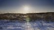 Snow-covered field