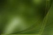 SOOTHING ABSTRACT WALLPAPER BACKGROUND
