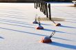 Frozen Buoys