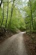 Path