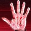 hand of the player