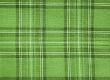 Green checked fabric