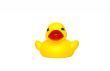 Rubber duck