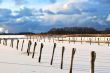 Frozen Harbour