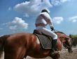 equestrian sportsman riding brown horse