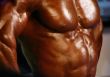 isolated muscular male torso