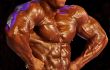 isolated muscular male torso