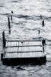 wooden destroyed bridge