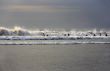 Indian ocean