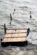 wooden destroyed bridge