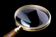 magnifying glass